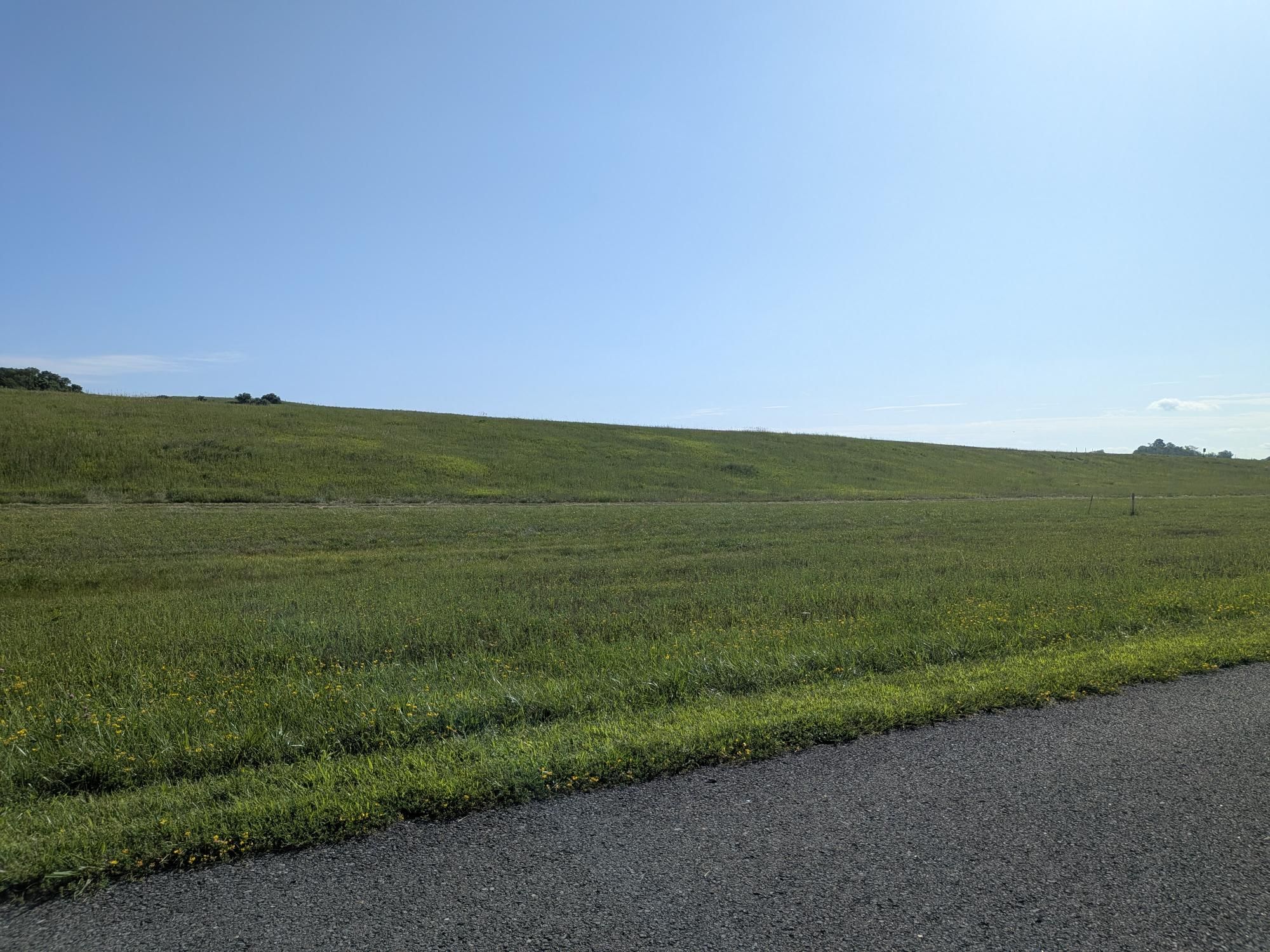 Ride photo