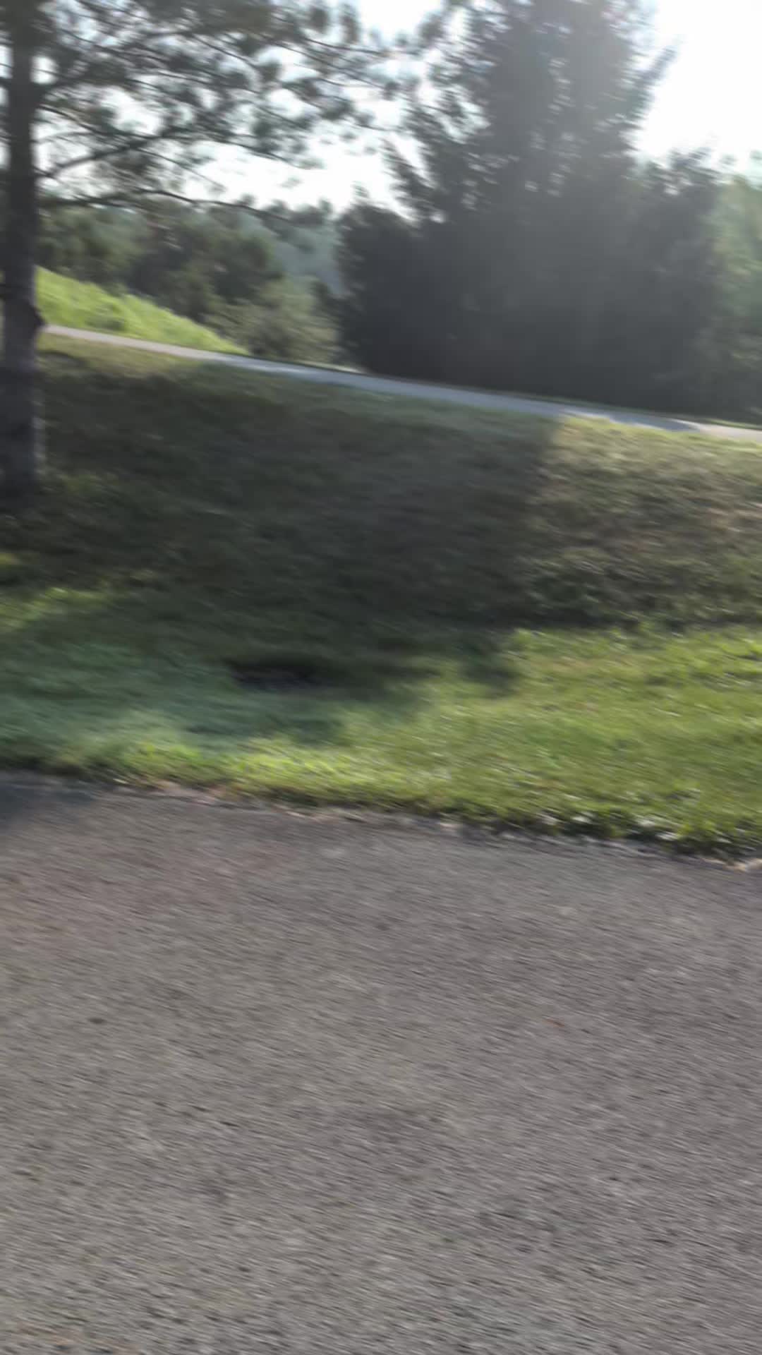 Ride photo