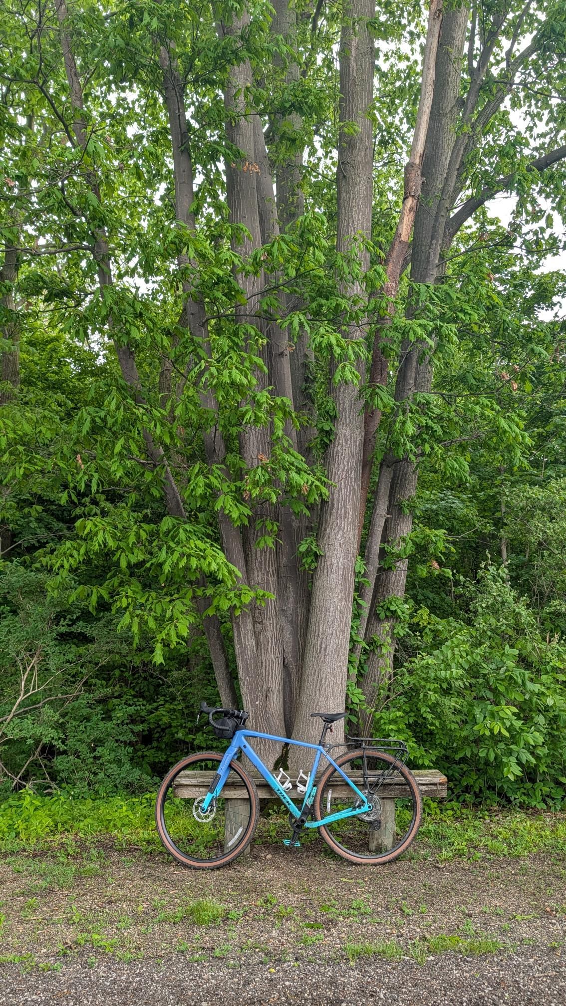 Photo from North Coast Inland Trail: Huron County